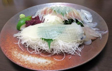 Ika Sosaku Ryori Ikaya餐厅图片