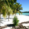 Tranquil Turtle Beach Bar