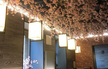Plum Orchard餐厅图片