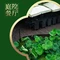 蓉园六号