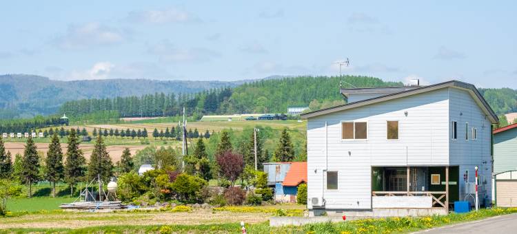 THE LANDSCAPE(THE LANDSCAPE)图片