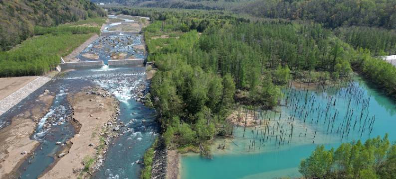 THE LANDSCAPE(THE LANDSCAPE)图片