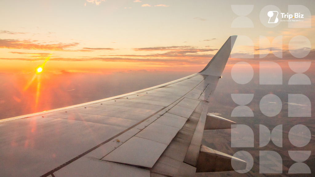 Red Eye Flights: Safety, Pros, Cons, and Travel Tips for Overnight Trips