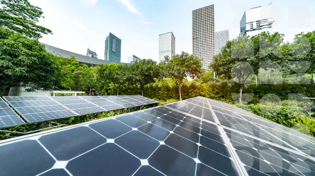 Bringing Carbon Footprint Data Into Business Travel Decision-Making