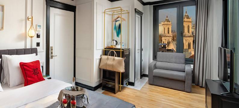 特里尼提霍特尔塔克西姆-斯佩舍尔卡特格里(The Trinity Hotel Taksim - Special Category)图片