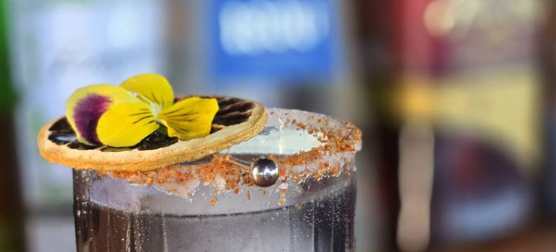 埃尔萨巴内罗生态旅馆(El Sabanero Eco Lodge)图片