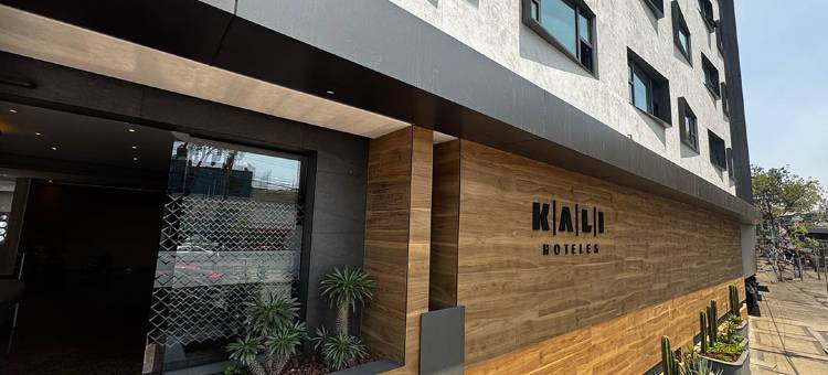 墨西哥城瓦耶霍卡利(Kali Vallejo Mexico City)图片