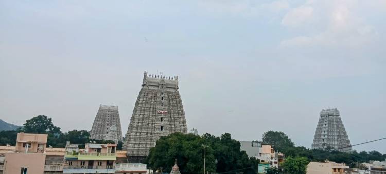 阿南塔拉酒店(Anantharaa Hotel)图片