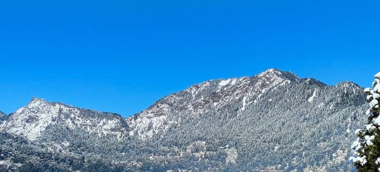 Prashant Homestay Nainital: Orchard图片