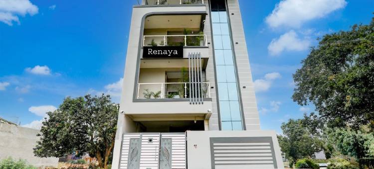 雷纳亚酒店(The Renaya Hotel)图片