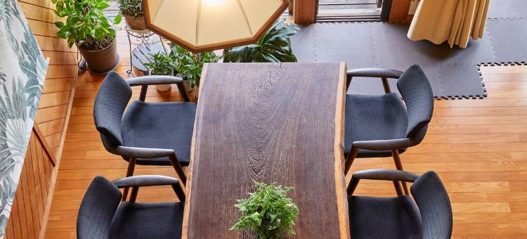 Malama Monstera In a botanical space, pls have a relaxing time.图片