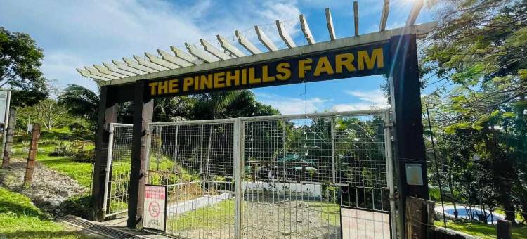 The Pinehill Farm图片