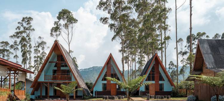 The Cabin Artana by ARBA图片