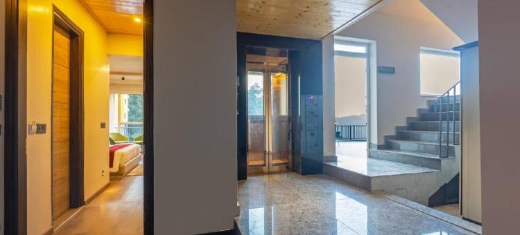 斯特林阿美瑞斯卡绍利(Sterling Ameris Kasauli)图片