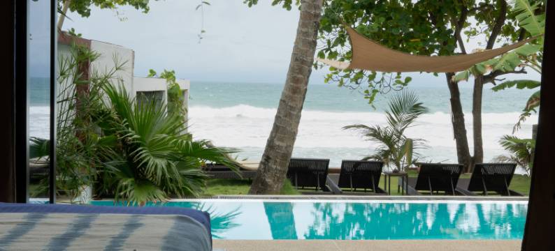 Parasol Doré = 金色阳伞(Parasol doré)图片