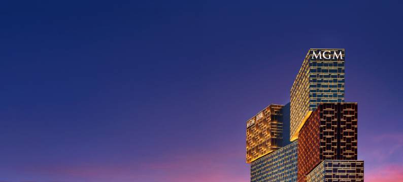 美狮美高梅–美艺图片