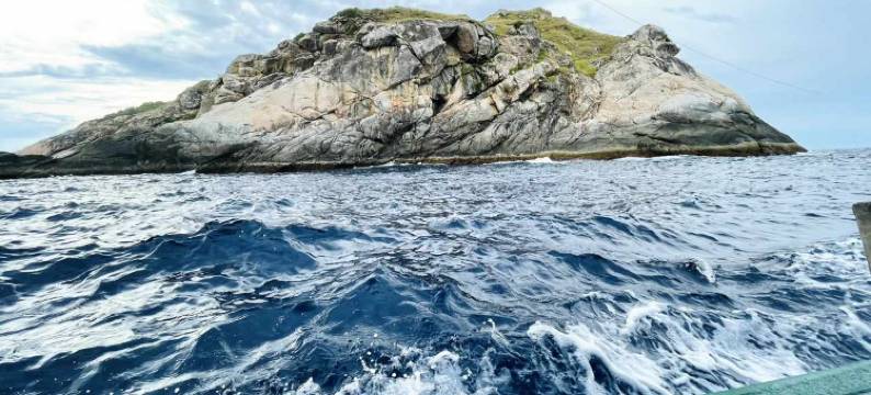 Canh Tien Tam Thanh海滩民宿(Canh Tien Homestay Tam Thanh Beach)图片