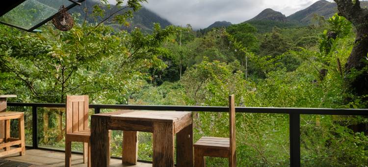 格伦罗克酒店(The Glenrock Wellness Nature Resort)图片