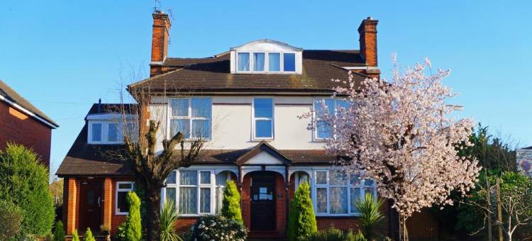 里奇路旅馆 - 经济型(Ricky Road Guest House - Budget)图片