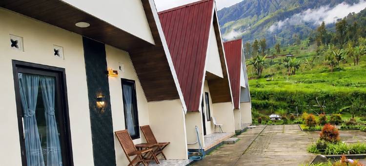Villa Kabin Vianda Telaga Menjer图片