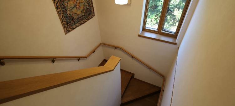 IZU花缘(IZUKAEN)图片