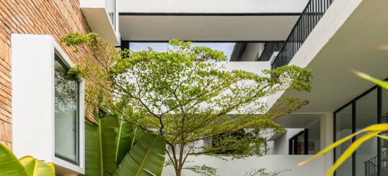 D'Mai Xanh Boutique Hotel Da Lat图片