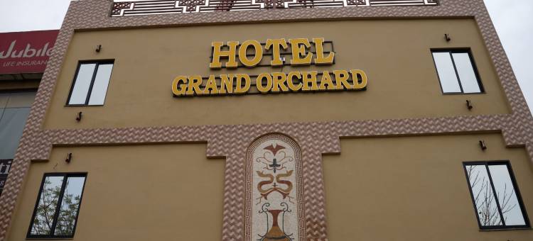 格兰德奥查德酒店(Hotel Grand Orchard)图片