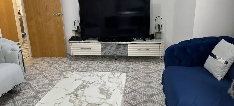 Entire flat by Principality Stadium (5 min walk)图片