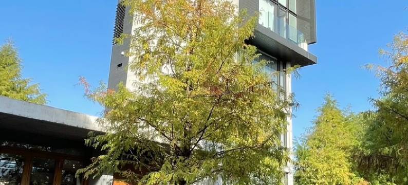 呆宅 JUSTSTAY图片