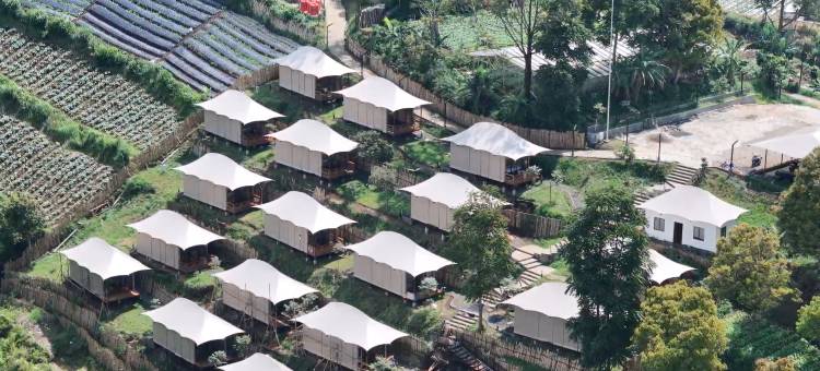 阿扎纳酒店系列的特宾景观豪华露营(Tebing View Glamping, Azana Hotels Collection)图片