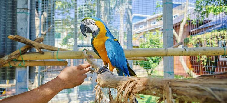 位于怡保Thompson的巴厘风情民宿, DAWA Brickhouse (Ryokan管理)(DAWA Brickhouse - Balinese Guesthouse in Thompson Ipoh by Ryokan Management)图片