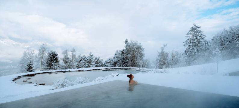 桑特多洛米瑟家(Santre Dolomythic Home)图片