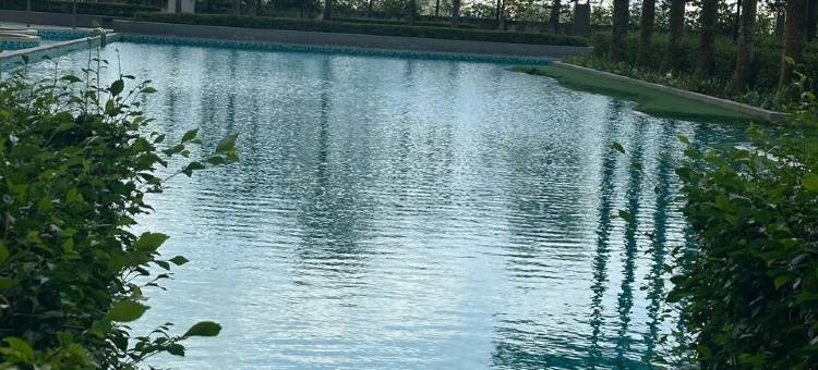 Green Haven图片