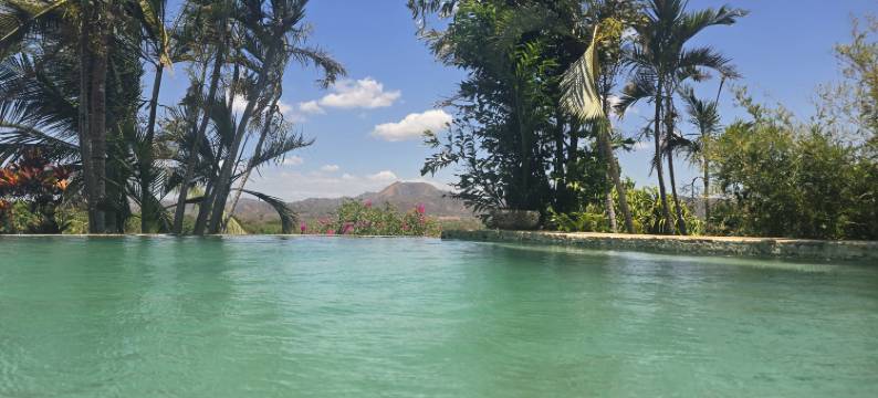 埃尔萨巴内罗生态旅馆(El Sabanero Eco Lodge)图片