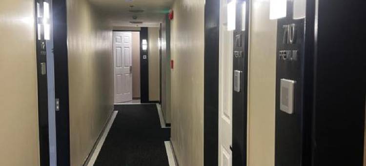 EDSA Shaw Blvd 苏格酒店(Hotel Sogo Edsa Shaw Blvd)图片