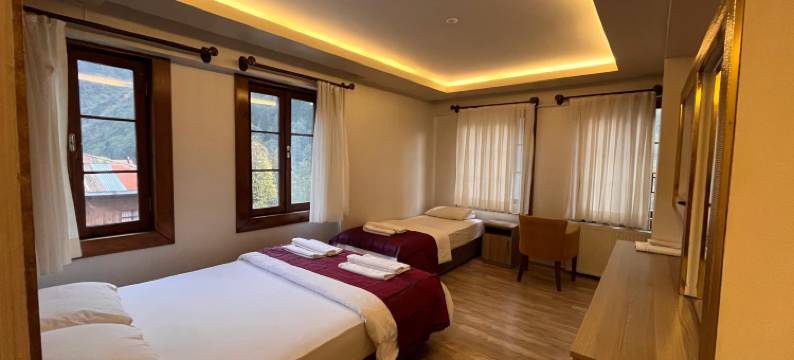 艾德尔酒店(Ayder Hotel)图片