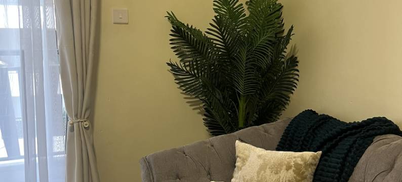 Platinum Luxe Homes图片