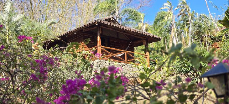 埃尔萨巴内罗生态旅馆(El Sabanero Eco Lodge)图片