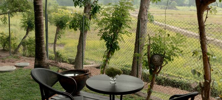 基林稻香岛(Kirindi Paddy Isle)图片