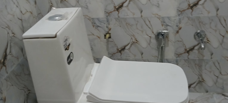 阿瓦德比哈里旅馆(Awadh Biharee Inn)图片