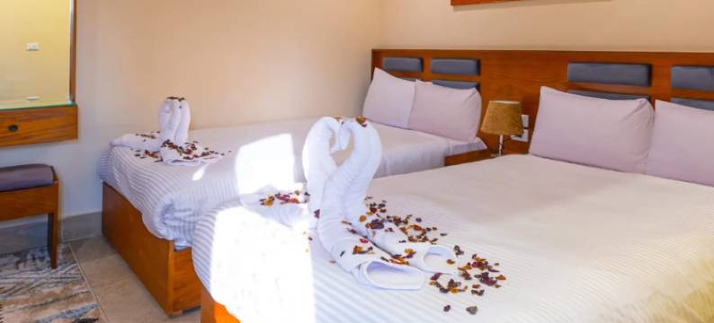 扎希拉金字塔景观(Zahira Pyramids view)图片