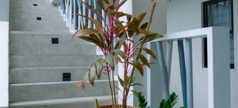 Urbanview at EGD Residences图片