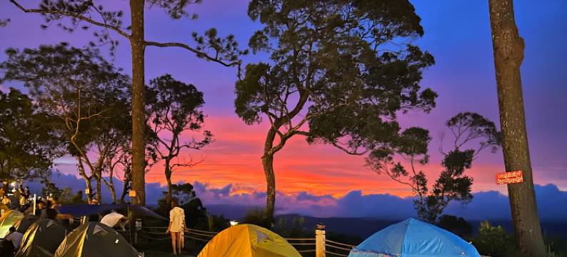 Camping Park Resort by EHM图片