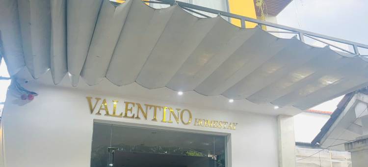 青少年之家旅馆(Valentino Homestay Hue)图片