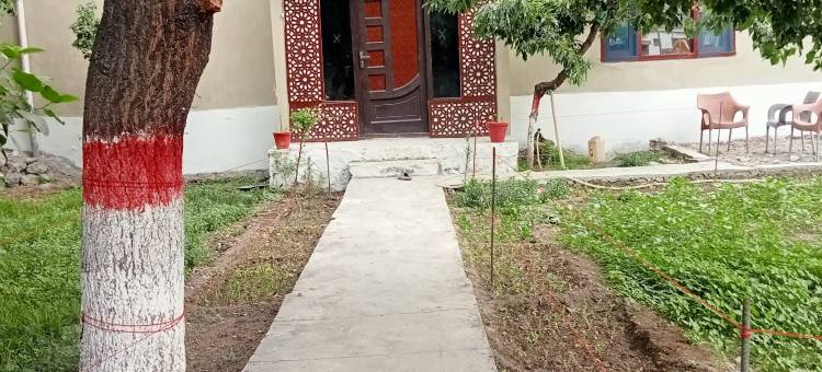 Istanbul guest house Skardu图片