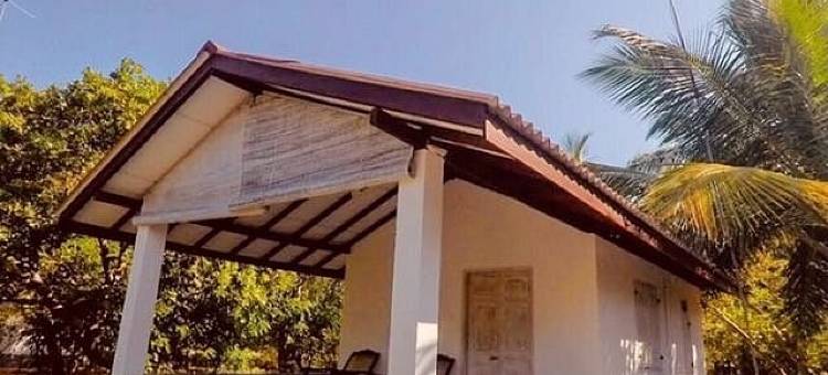 总督营地 威尔帕图(Governor's Camp Wilpattu)图片