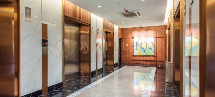 莫萨兹普瑞米尔苏伊特斯达曼萨拉(Mossaz Premier Suites Damansara)图片