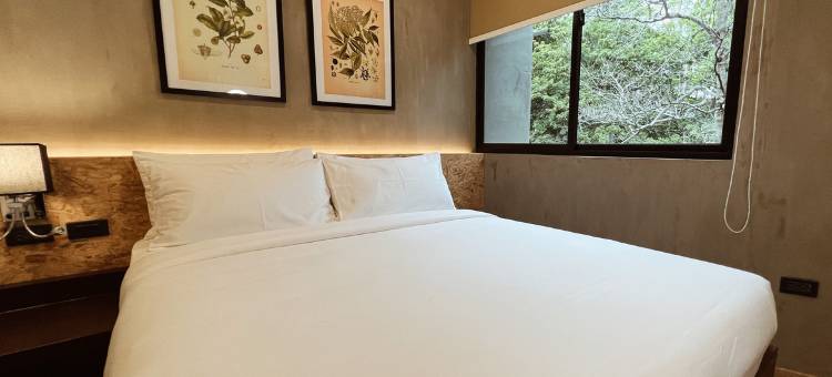 杜马格特酒店(Hotel Dumaguete)图片