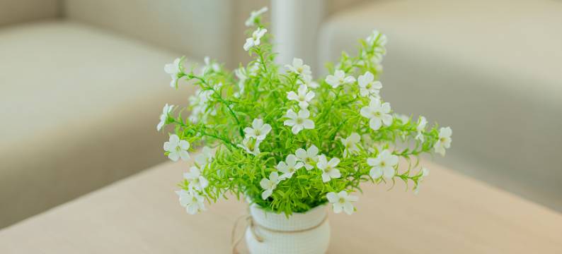 B2 Future Park Rangsit Boutique & Budget Hotel图片