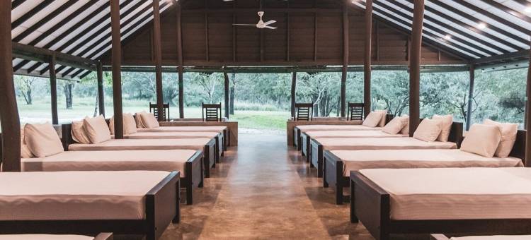 总督营地 威尔帕图(Governor's Camp Wilpattu)图片